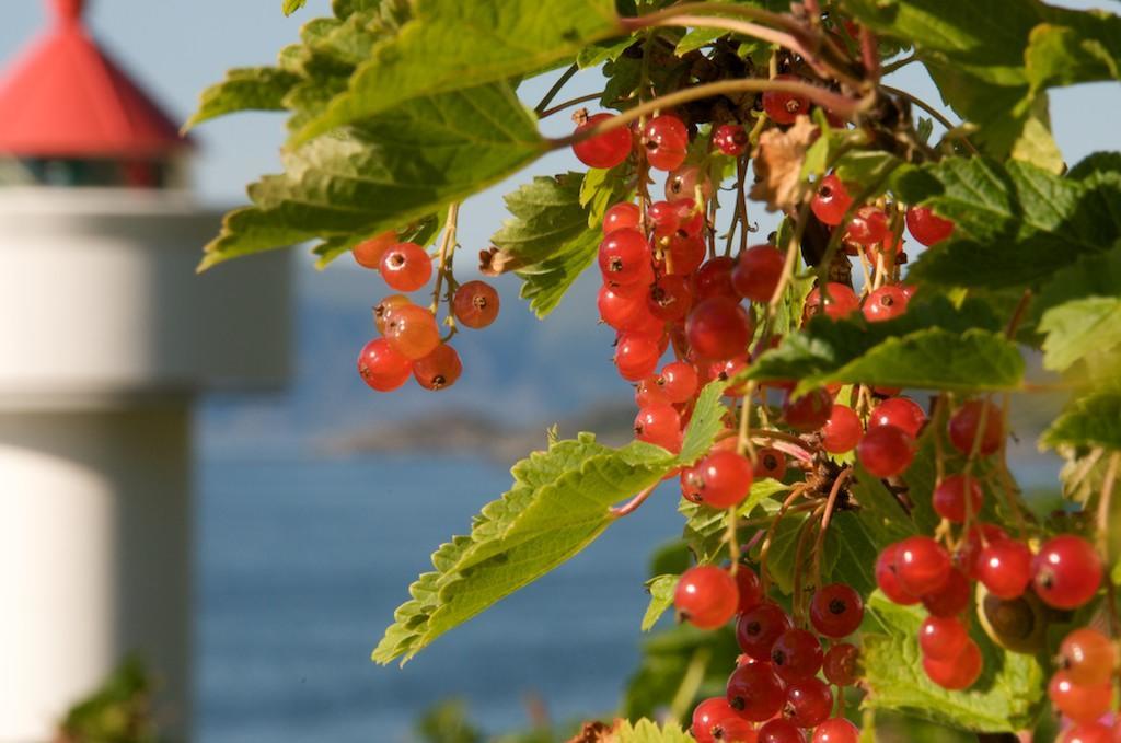 مبيت وإفطار Rödberg Ulvesund Fyr المظهر الخارجي الصورة